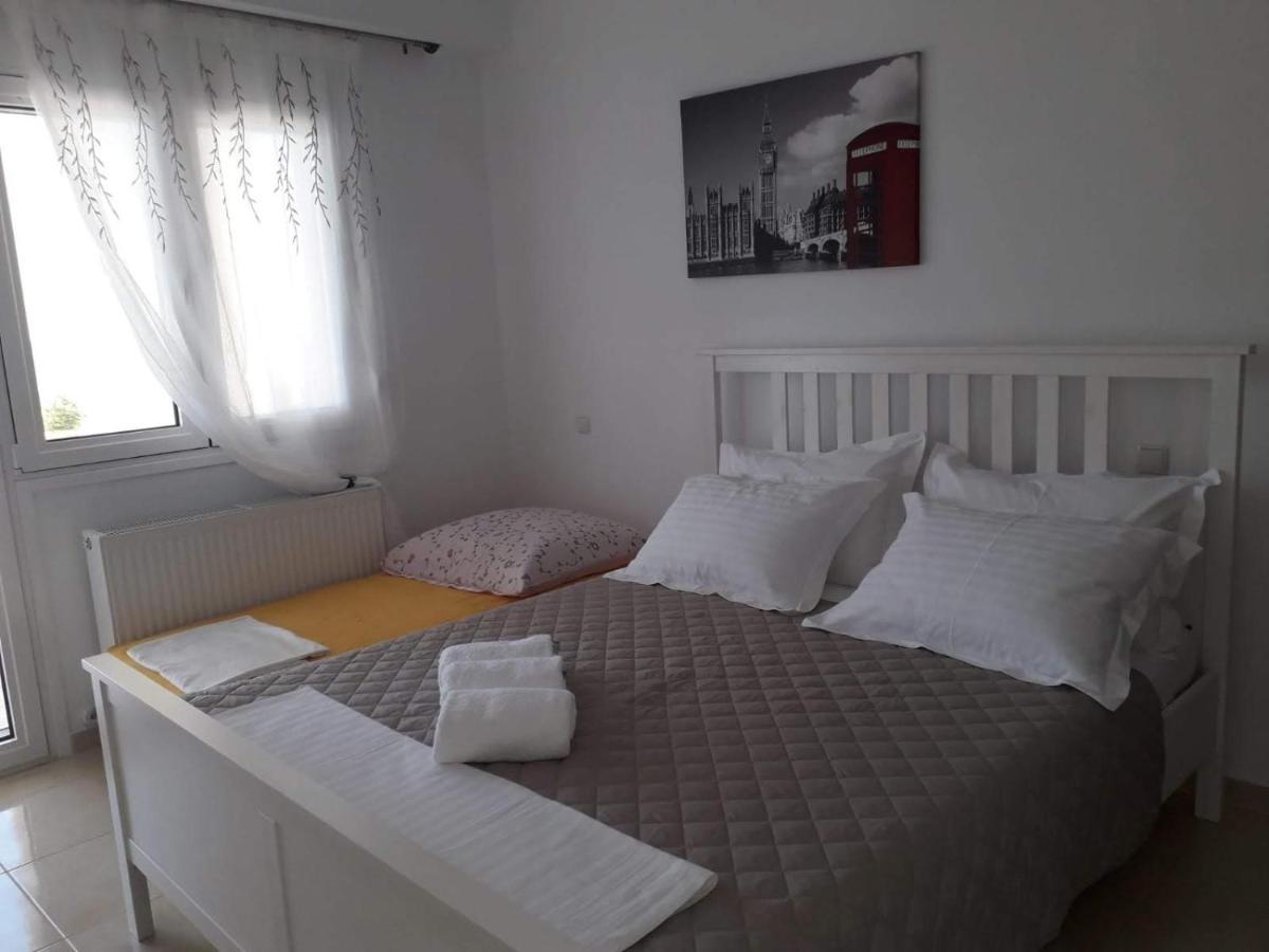 Villa Dimitri - Seaview Apartment 亚历山德鲁波利斯 外观 照片